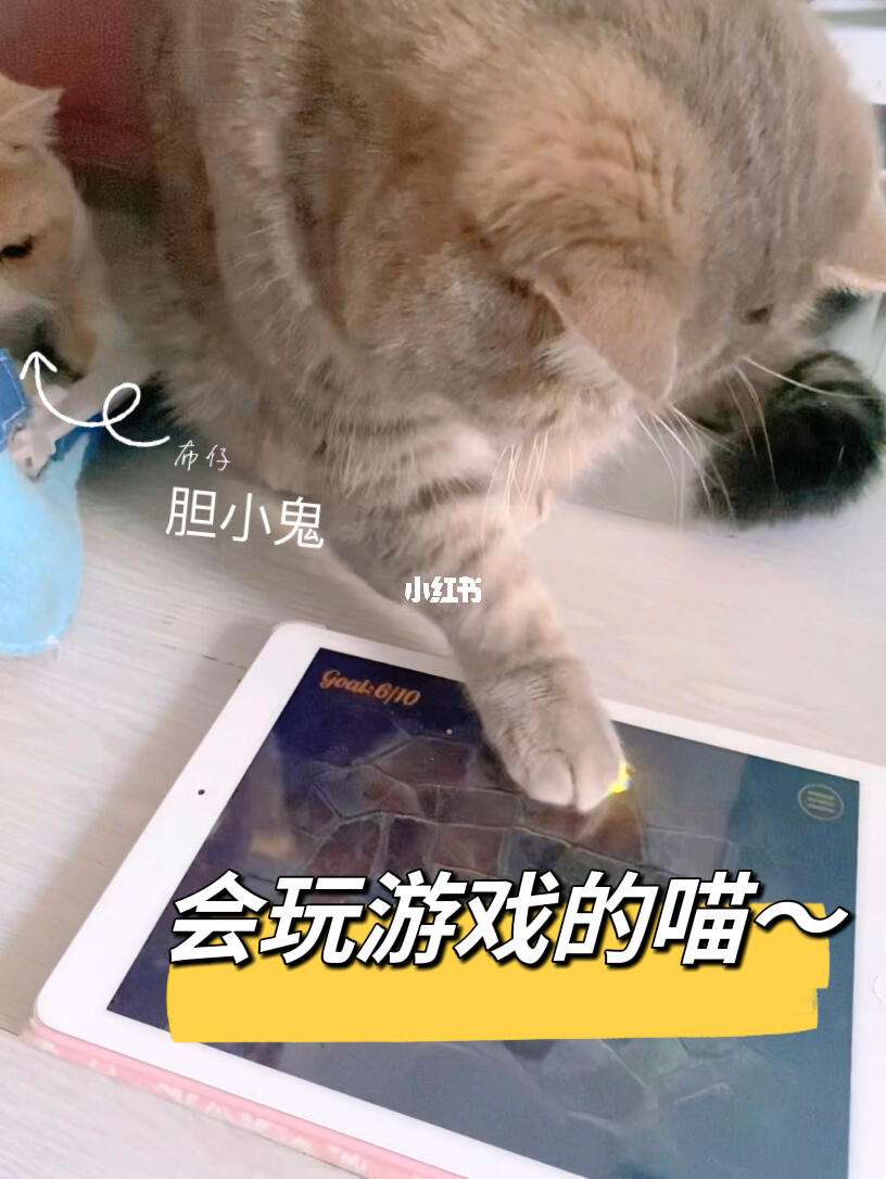 安卓版peppycat安卓怎么下载peppycat-第2张图片-太平洋在线下载