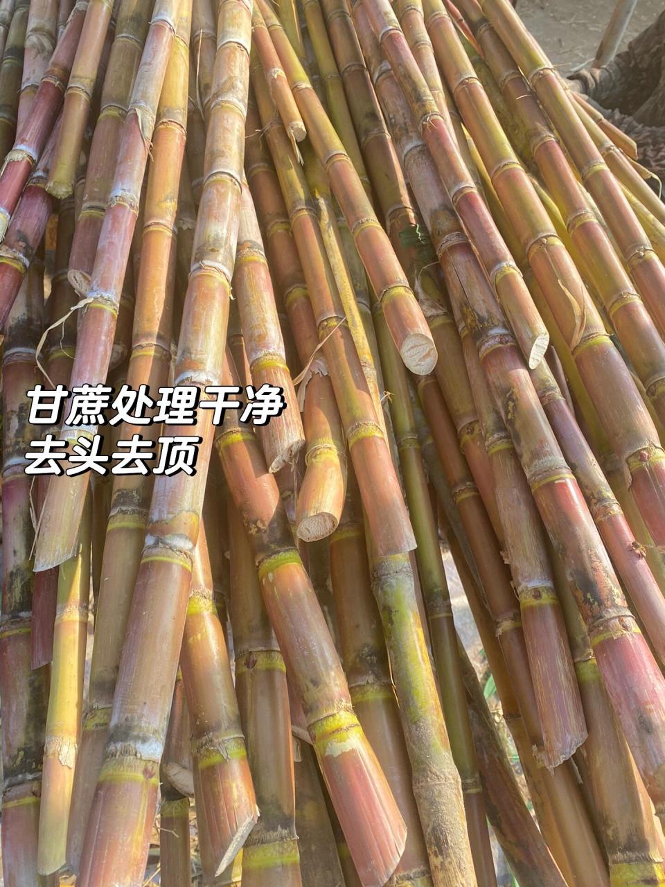 糖大师苹果版下载美食大作战苹果版下载