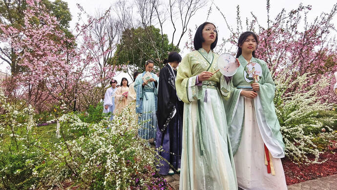 樱校苹果版注册
:典雅的“花中神仙”上场，上海两种“粉色”打起来了